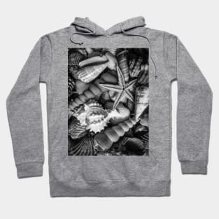 Beach Starfish Nature Summer Sea Shells Hoodie